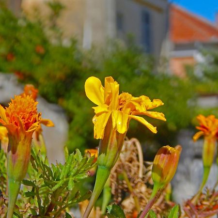 Apartmani Sindik Τίβατ Εξωτερικό φωτογραφία
